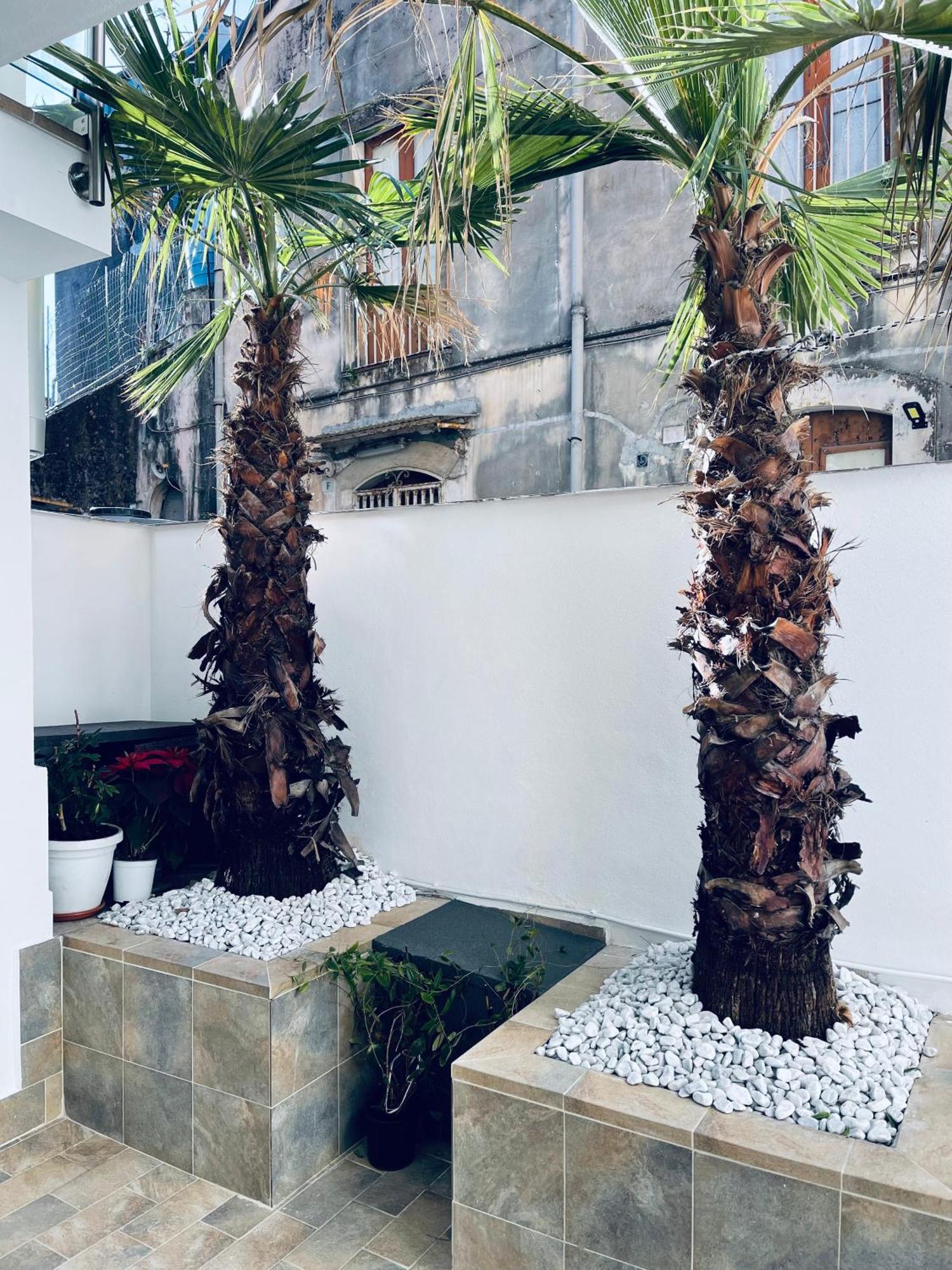 King House Catania Hostel Ostello Exteriér fotografie